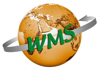 WMS Technology Group